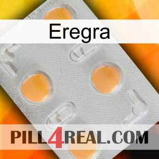 Eregra 24